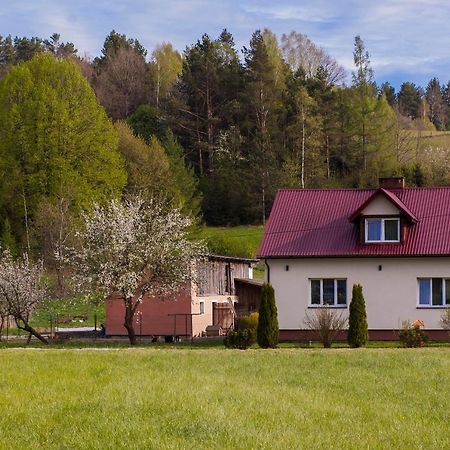 U Jadzi Pogorze Przemyskie Bircza Экстерьер фото