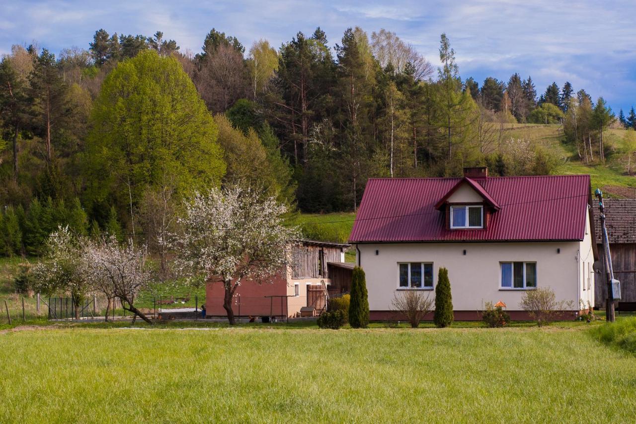 U Jadzi Pogorze Przemyskie Bircza Экстерьер фото